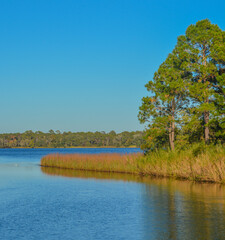 Basin Bayou in Freeport, Walton County, Florida 