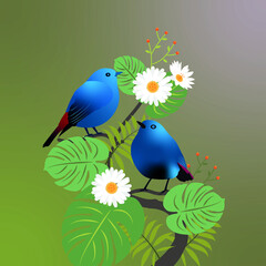 birds on a flower with a colored background