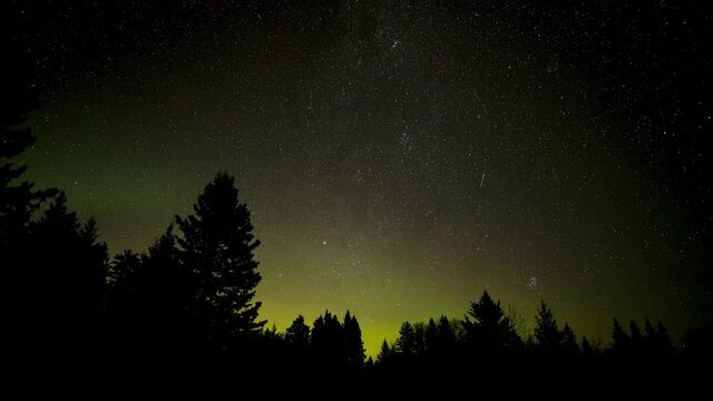Star filled nigh sky time lapse with green Aurora moving across the sky like clouds. And a silhouette tree line.
