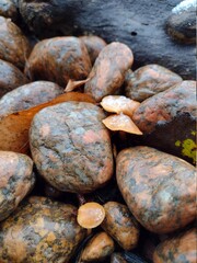 stones and water