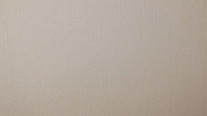 Fototapeta na wymiar Textura de lino blanco como fondo