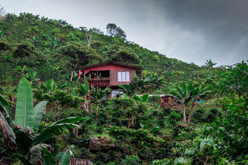 Fototapeta na wymiar horizontal shot of a beautiful country cabin made of wood in the middle of a coffee plantation in the San Jeronimo mountains in Costa Rica