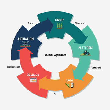Smart Farming and Precision Agriculture Cycle