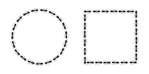 Black ants circle and square borders. Ants forming round and rectangular shapes isolated in white background. Vector illustration