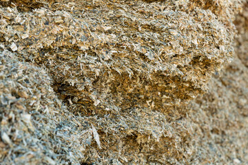 Closeup of pile of pressed maize silage. Natural organic ingredient for feeding livestock..