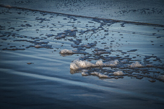 foan texture in the beach