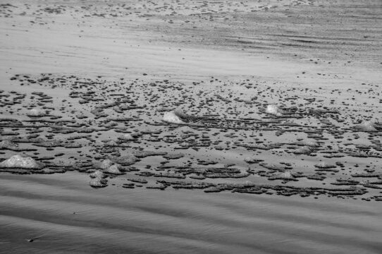  Texture foan  on the beach