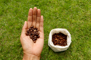 coffee beans in a bag placed in hand