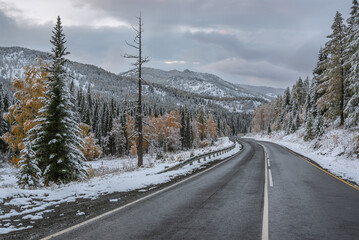 road asphalt mountains pass snow autumn forest
