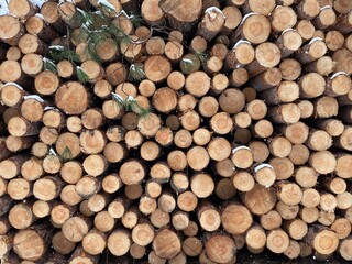 Fototapeta premium stack of firewood