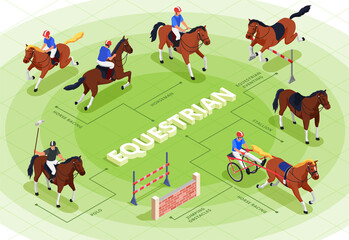 Obraz na płótnie Canvas Equestrian Sport Flowchart