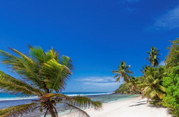 Paradise beach with coco palms and tropical sea in Caribbean island. 