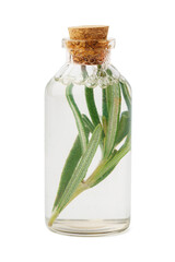 Essential oil in a small bottle with green leaf on white background
