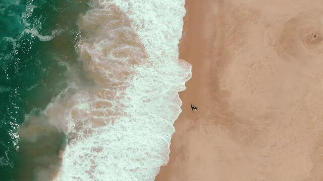 Top view of a lonely surfer walks on the beach while the wild endless sea crushing waves on the sand's coast line. aerial drone