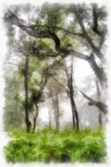 foggy mountain forest landscape watercolor style illustration impressionist painting.
