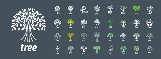 A set of vector logos with the image of a tree