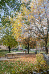 Naklejka premium Aachen Eilendorf im Oktober