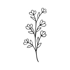 A hand-drawn set of black sketches of isolated flowers and leaves on a white background. A vector description of a doodle of flowers and leaves.