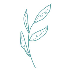 Obraz premium A twig with leaves and curls for the design of postcards.