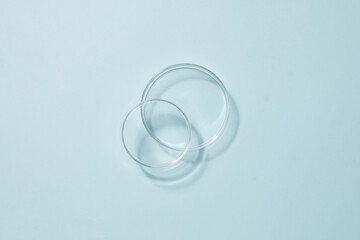 petri dishes on blue background 