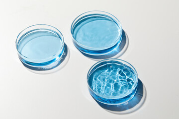 Petri dishes with blue water and ripple in grey background