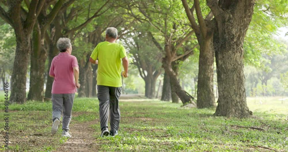 Wall mural rear view of senior couple jogging in the park