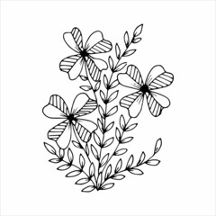 Hand-drawn flower single doodle element for coloring, invitation, postcard. Black and white vector image