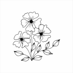 Hand-drawn flower single doodle element for coloring, invitation, postcard. Black and white vector image