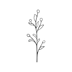 A hand-drawn set of black sketches of isolated flowers and leaves on a white background. A vector description of a doodle of flowers and leaves.