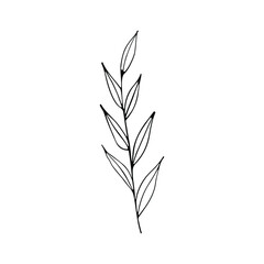 A hand-drawn set of black sketches of isolated flowers and leaves on a white background. A vector description of a doodle of flowers and leaves.