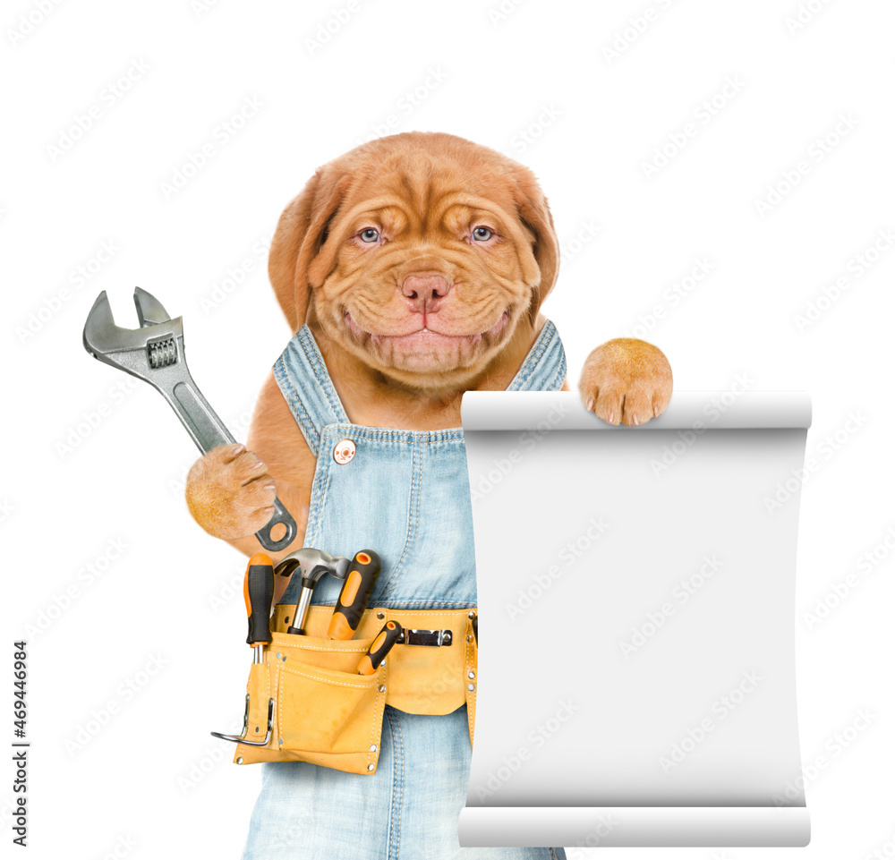 Poster Funny puppy wearing overalls with tool belt holds adjustable wrench and shows empty list. Isolated on white background