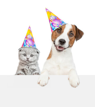Kitten and Jack russel terrier puppy wearing birthday hats look above empty banner. isolated on white background