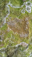 Old stone patterns that are broken and have various colors in beautiful patterns, available in black, white, pink, gray and brown, with green moss, black islands on the rock formed a beautiful natural