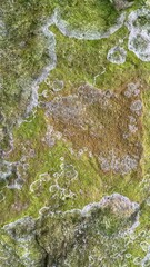 Old stone patterns that are broken and have various colors in beautiful patterns, available in black, white, pink, gray and brown, with green moss, black islands on the rock formed a beautiful natural