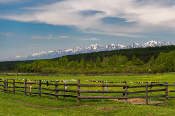 Fototapeta na wymiar Fences in the pasture at the foot of the Sayan Mountains