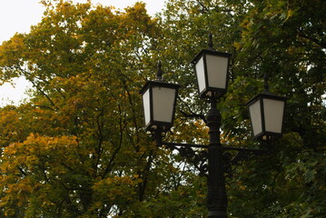 Lantern in the autumn park