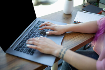 Fototapeta premium Back view of a young pink hair woman keyboarding on laptop computer with blank copy space screen while sitting in cafe.