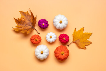 Fototapeta na wymiar Orange, white, orange pumpkin and maple leaves isolated on beige background Top view Flat lay Hello autumn, happy thanksgiving concept Holiday card