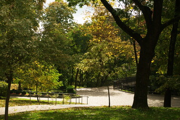 Fototapeta na wymiar Central Park named after Lunacharsky in the city of Gomel