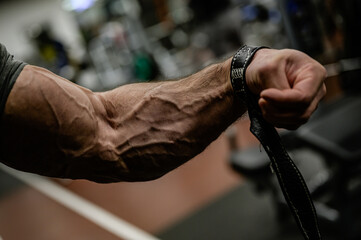 strong forearm with vein and strap of bodybuilder athlete male during sport fitness gym training - obrazy, fototapety, plakaty