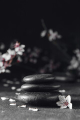 Stack of spa stones and flowers on dark background