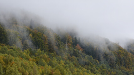 Mist covering an autumn forest in the morning.