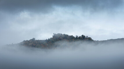 Mist covering an autumn forest in the morning.