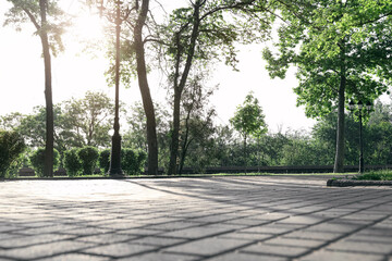 View of beautiful alley in park on spring day