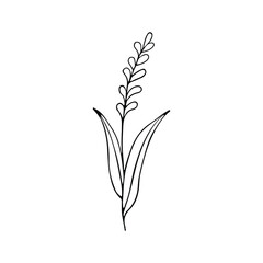 A hand-drawn set of black sketches of isolated flowers and leaves on a white background. A vector description of a doodle of flowers and leaves.