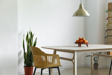 Dining table, chair and houseplant in light room