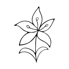 A hand-drawn set of black sketches of isolated flowers and leaves on a white background. A vector description of a doodle of flowers and leaves.