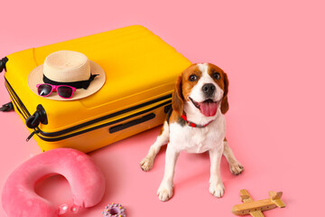 Cute Beagle dog with suitcase and travel things on pink background
