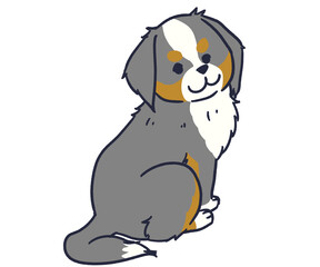 おすわりしているバーニーズマウンテンドッグ