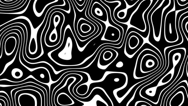 Zebra Loop Background for editing